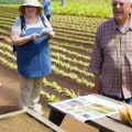 Innovative Strategies to Enhance Agritourism Services