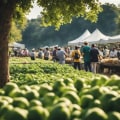 The Role of Agritourism in Preserving Local Food Traditions