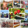 Exploring Agritourism: A Deep Dive into Agritourism Services