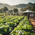 Exploring the Role of Agritourism in Promoting Sustainable Agriculture Practices